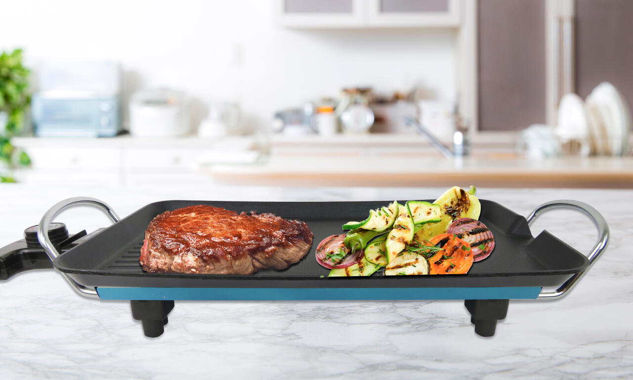 Electric Grill Plate 48x27 cm