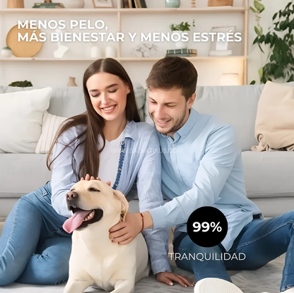 PetGlow