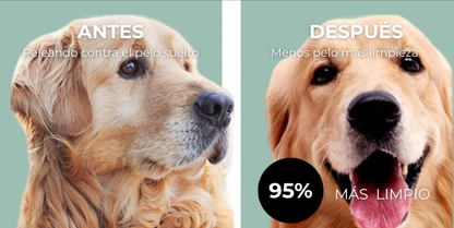 PetGlow
