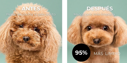 PetGlow