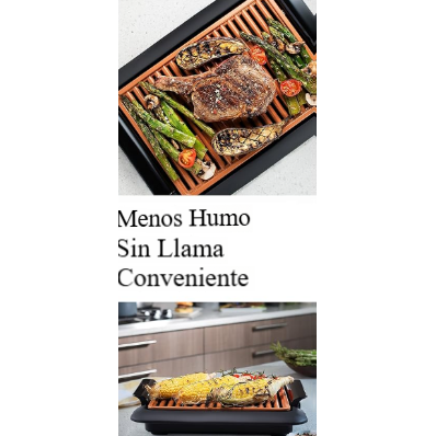 EcoGrill Pro